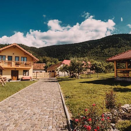 Готель Casa Bunicilor Nucsoara  Екстер'єр фото