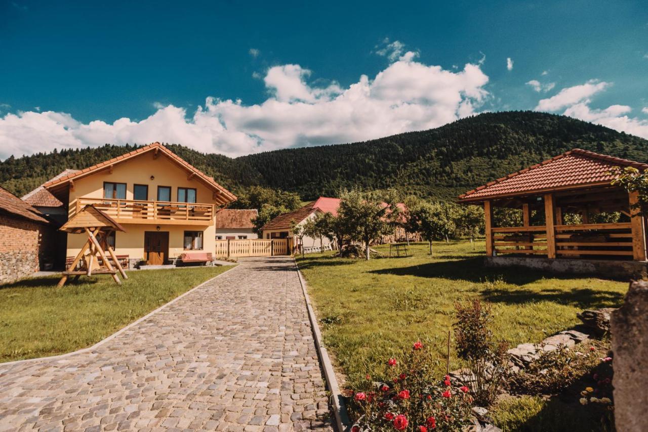 Готель Casa Bunicilor Nucsoara  Екстер'єр фото