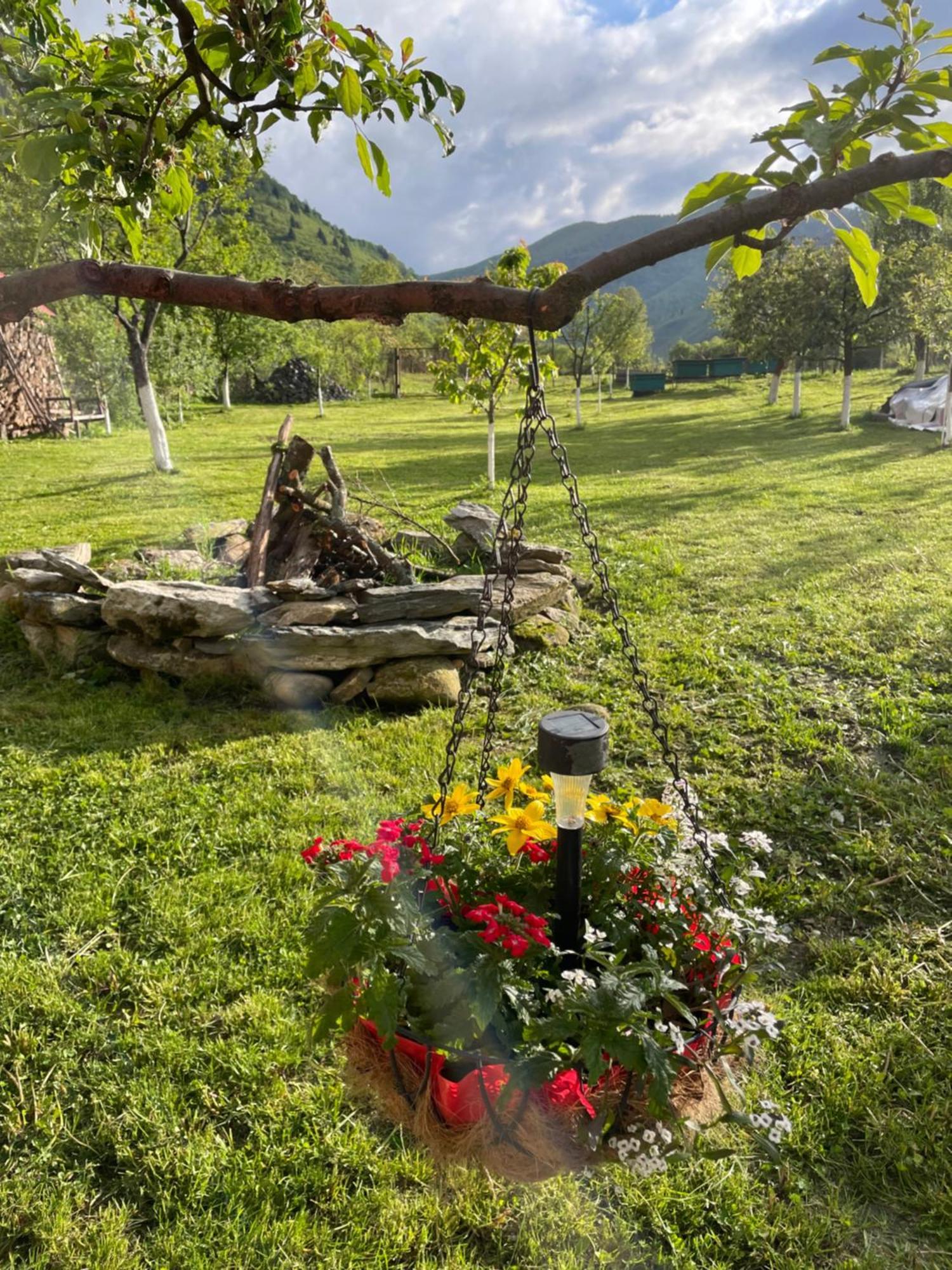 Готель Casa Bunicilor Nucsoara  Екстер'єр фото